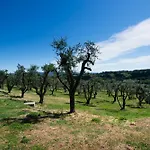 Rara Factory Design House Villa Orvieto