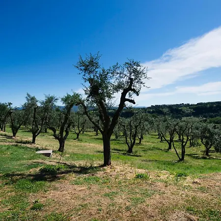 Rara Factory Design House Villa Orvieto