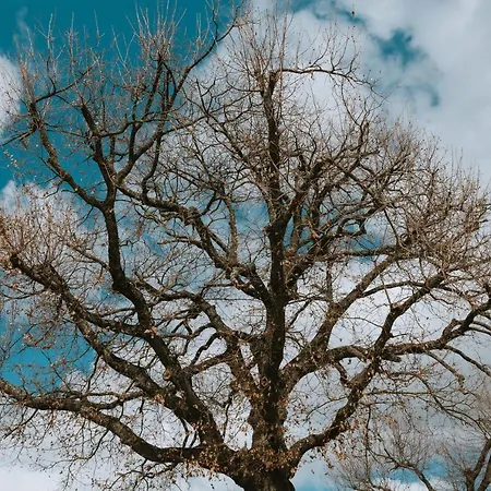 Rara Factory Design House Orvieto