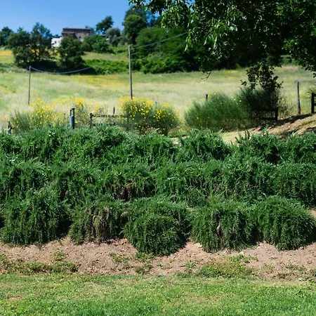 Rara Factory Design House *