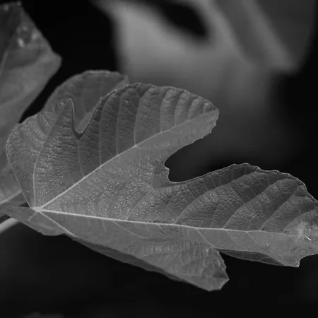 Villa Rara Factory Design House Orvieto