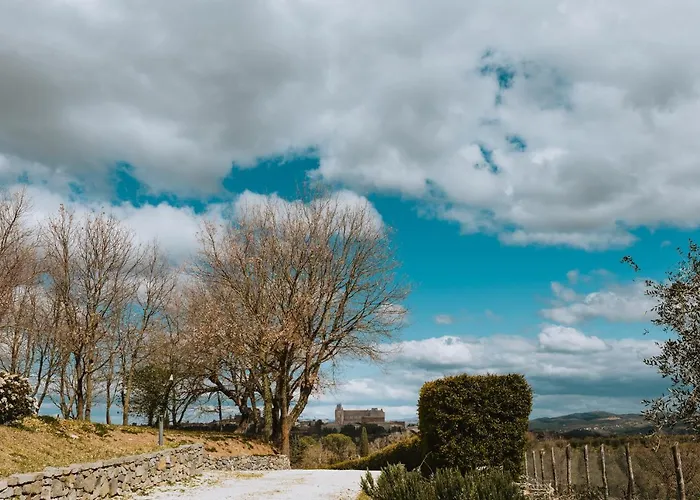 Rara Factory Design House Orvieto