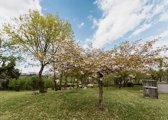 Rara Factory Design House