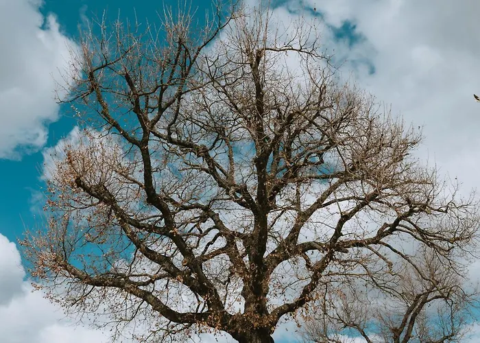 Rara Factory Design House Orvieto