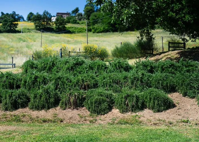 Rara Factory Design House *