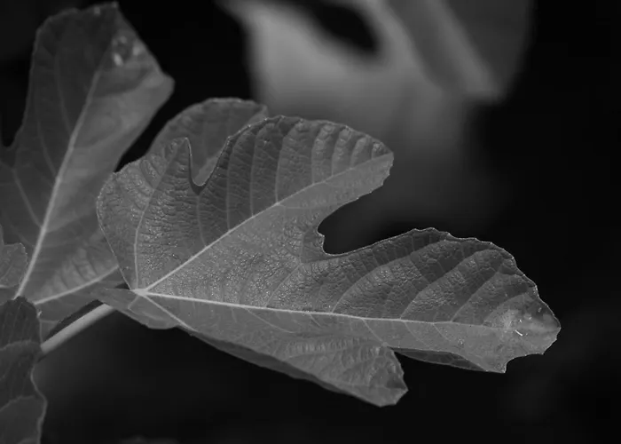 Villa Rara Factory Design House Orvieto